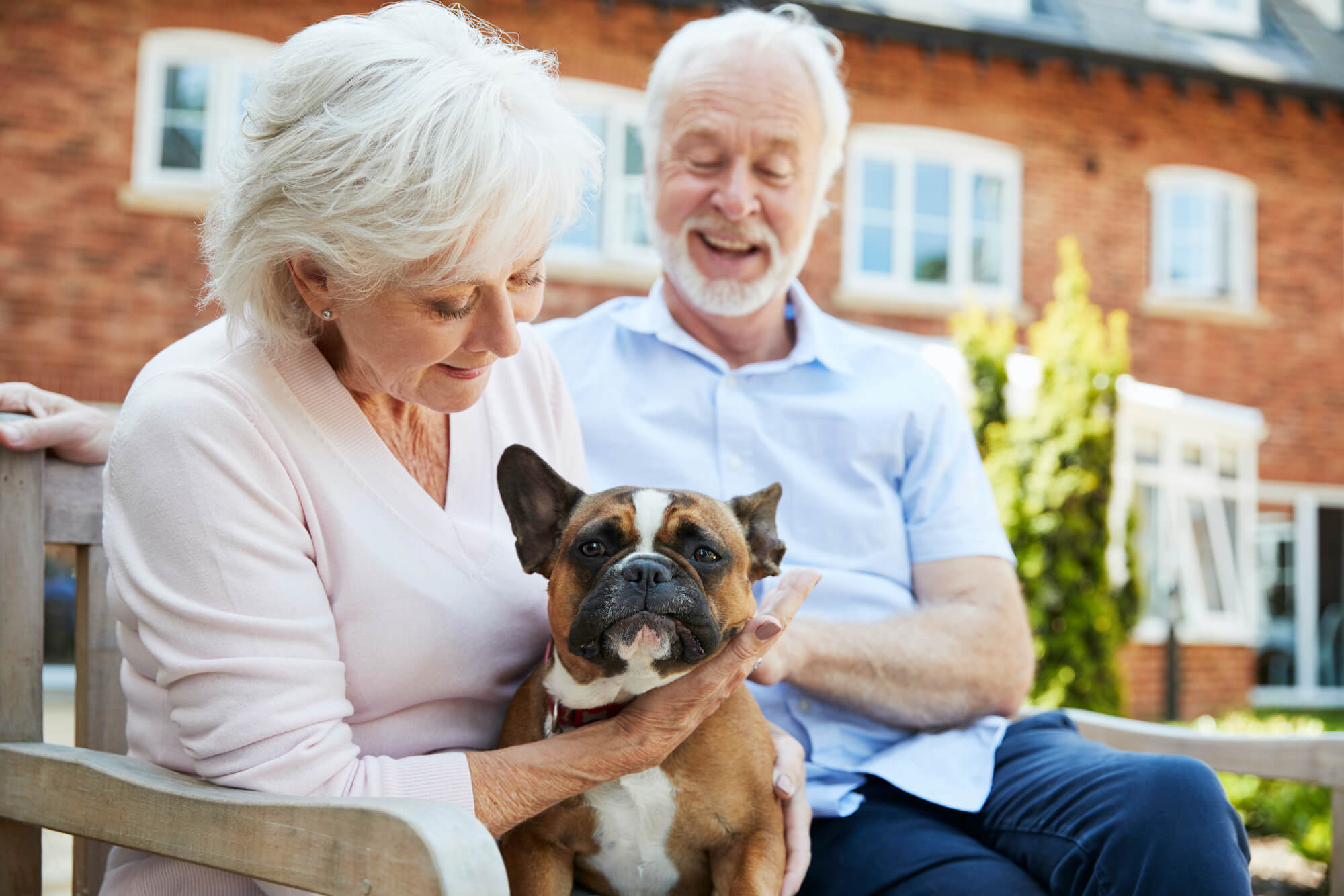 Mann und Frau, die ihren Hund halten, während sie auf einer Bank sitzen 